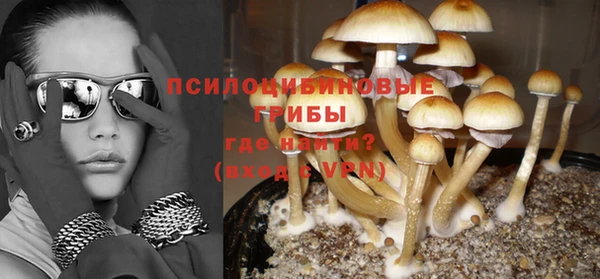 экстази Алексин