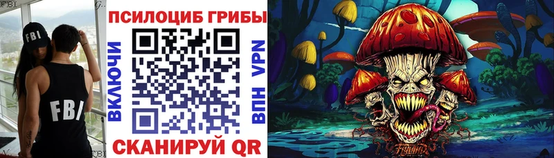 Псилоцибиновые грибы Psilocybe  Олонец 