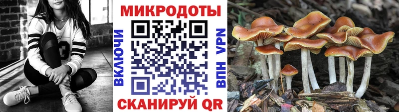 Псилоцибиновые грибы мухоморы Олонец